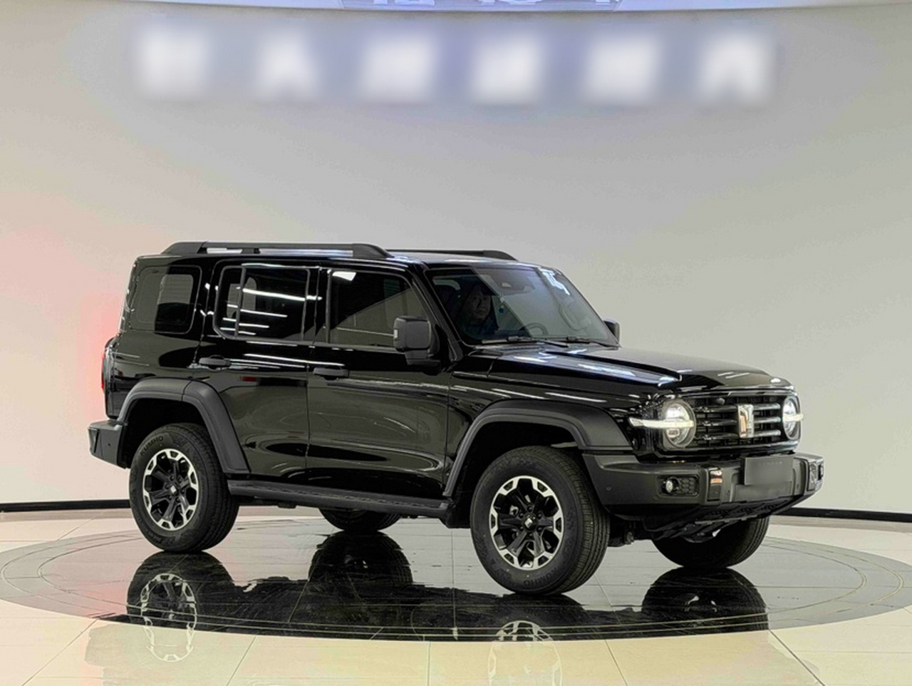 300 2025 2.0T Petrol Conqueror photo 3