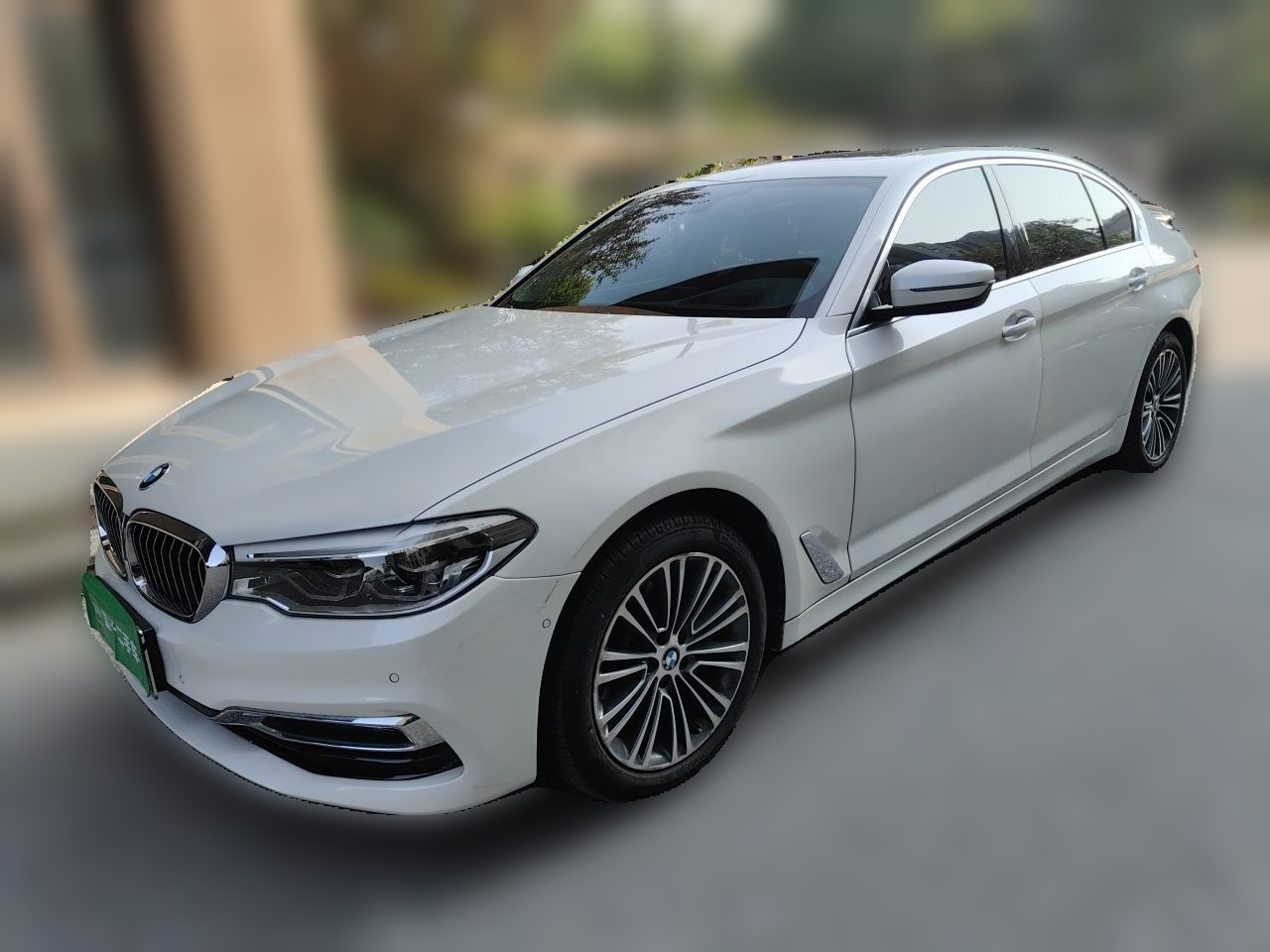 5 Series 2019 530Li Exclusive Luxury