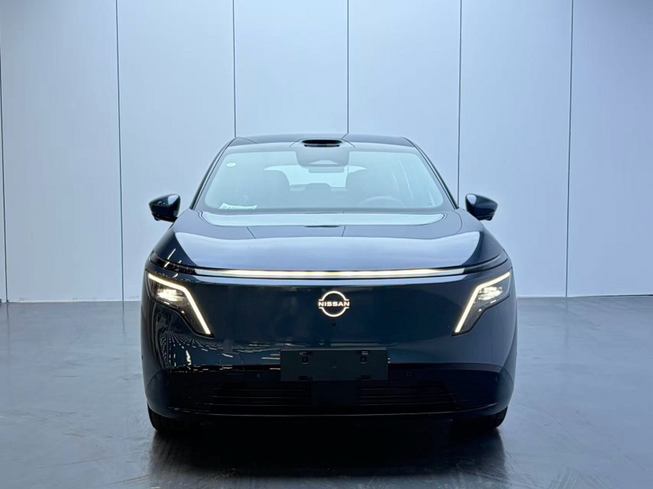 NX8 2026 EV 650 Max photo 2
