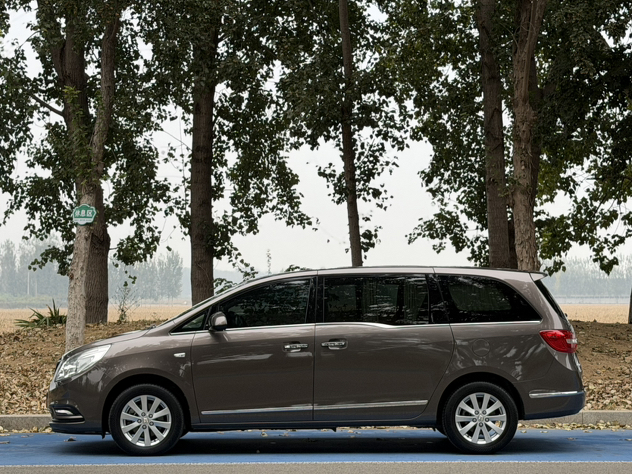 GL8 2017 25S Luxury China V photo 3