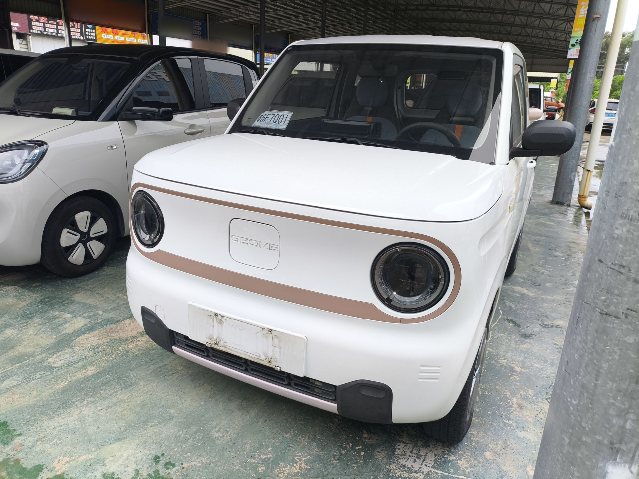 2023 Panda mini 200km Endurance Bear