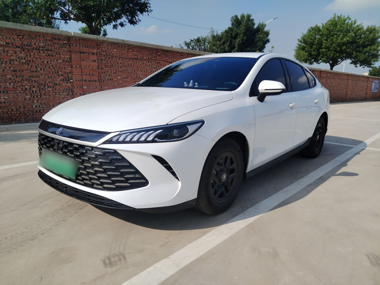Qin PLUS 2025 DM-i ADAS 55KM Leading
