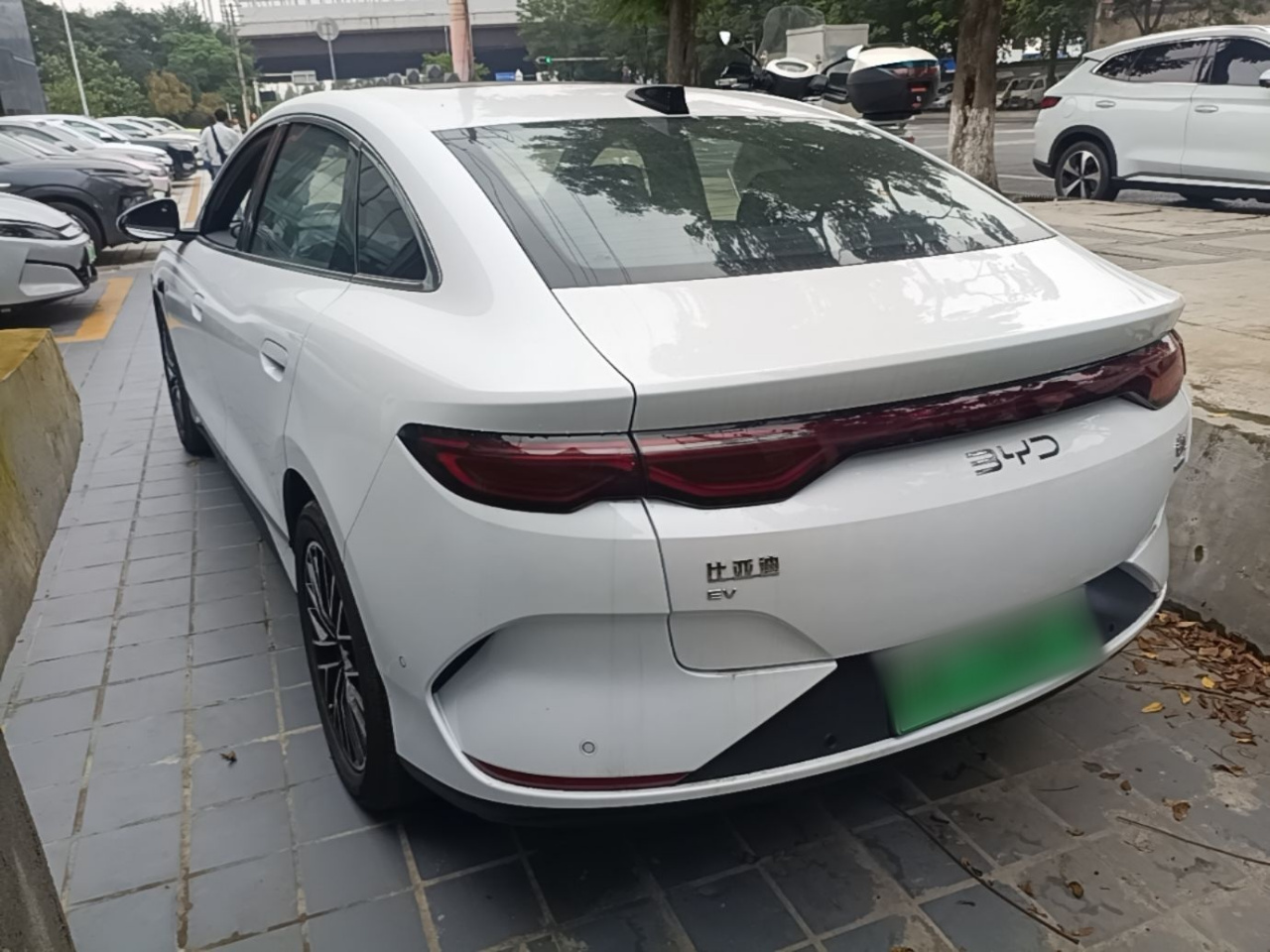 Qin L 2025 EV 545KM photo 4