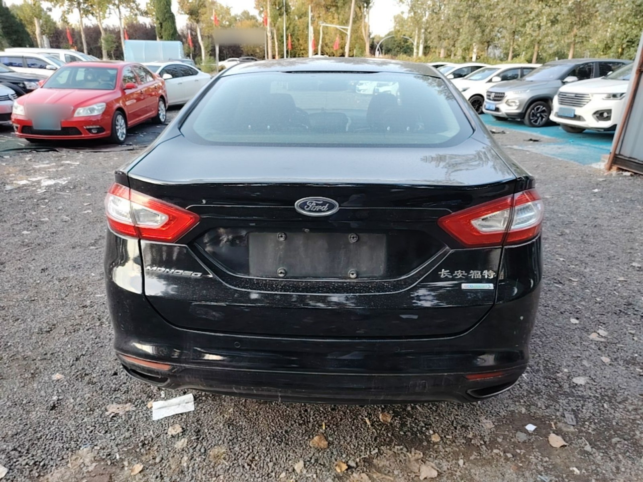 Mondeo 2013 2.0L GTDi200 Luxury photo 3