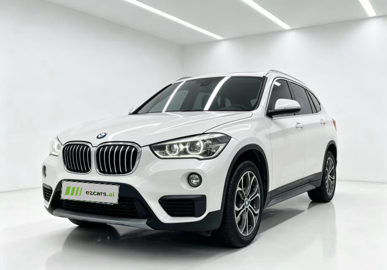 X1 2018 sDrive20Li Leading