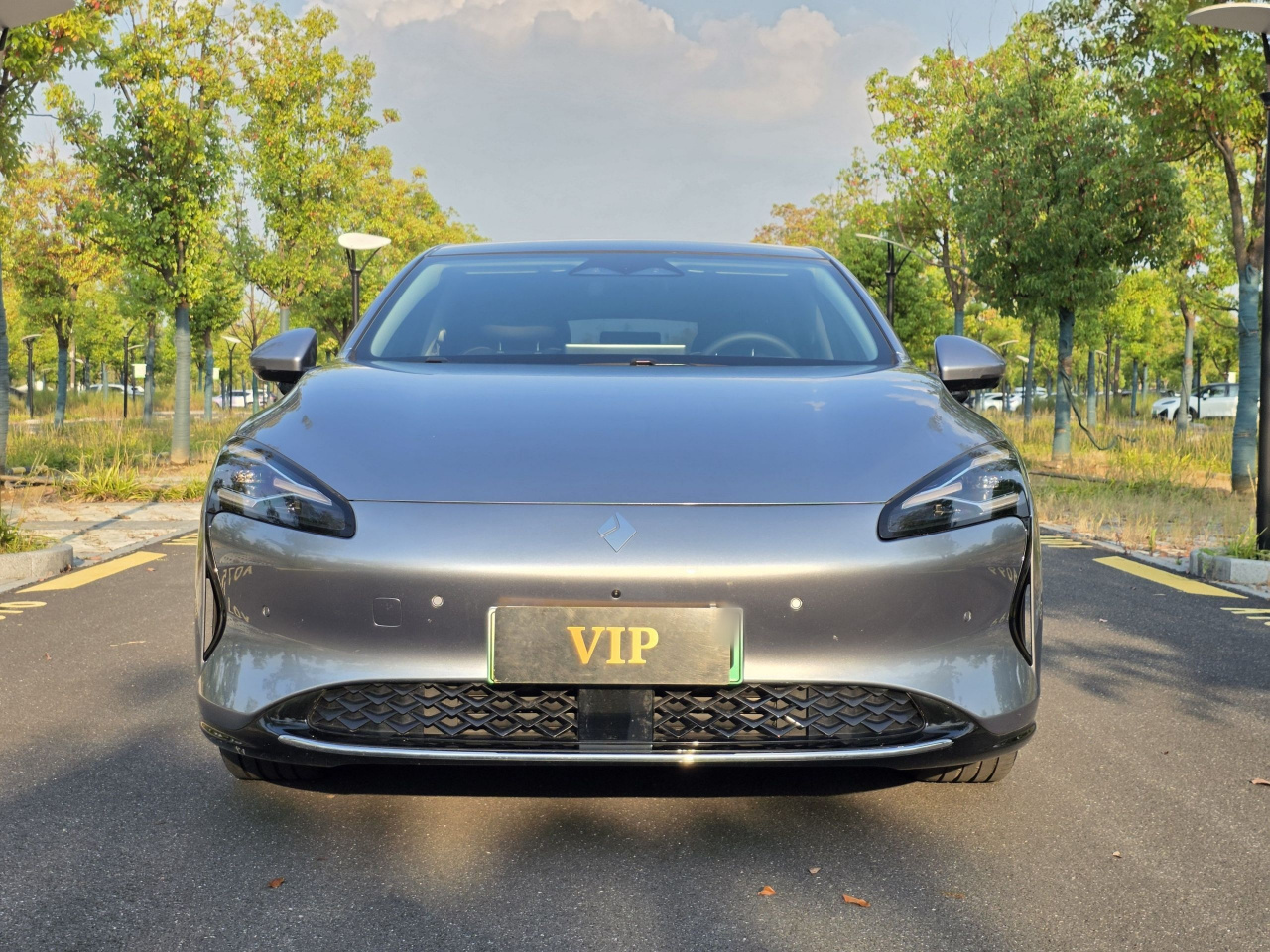 2025 EV 600km Luxury photo 2