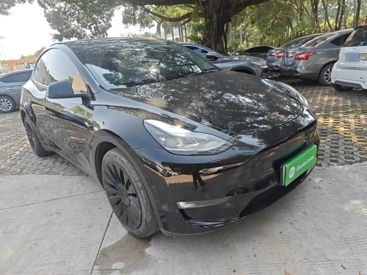 Model Y 2021 Standard Range RWD photo 3