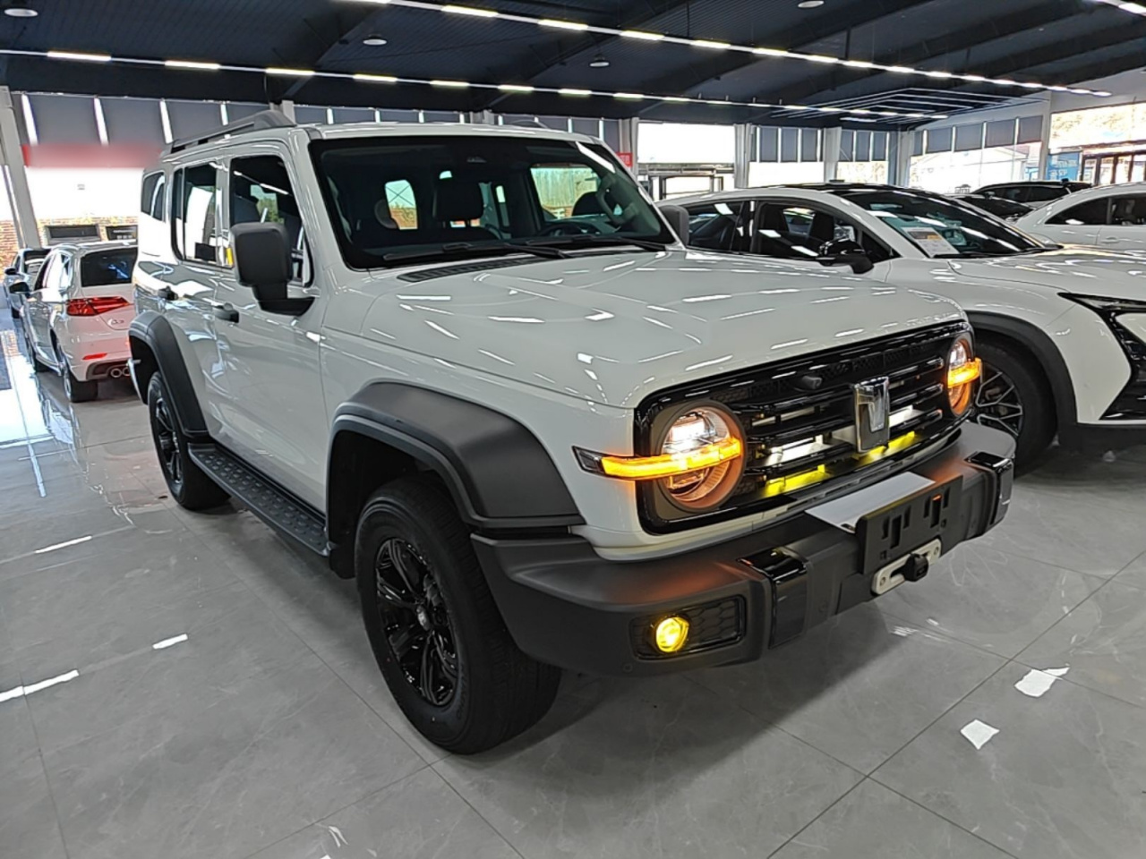 300 2024 2.0T Conqueror photo 3
