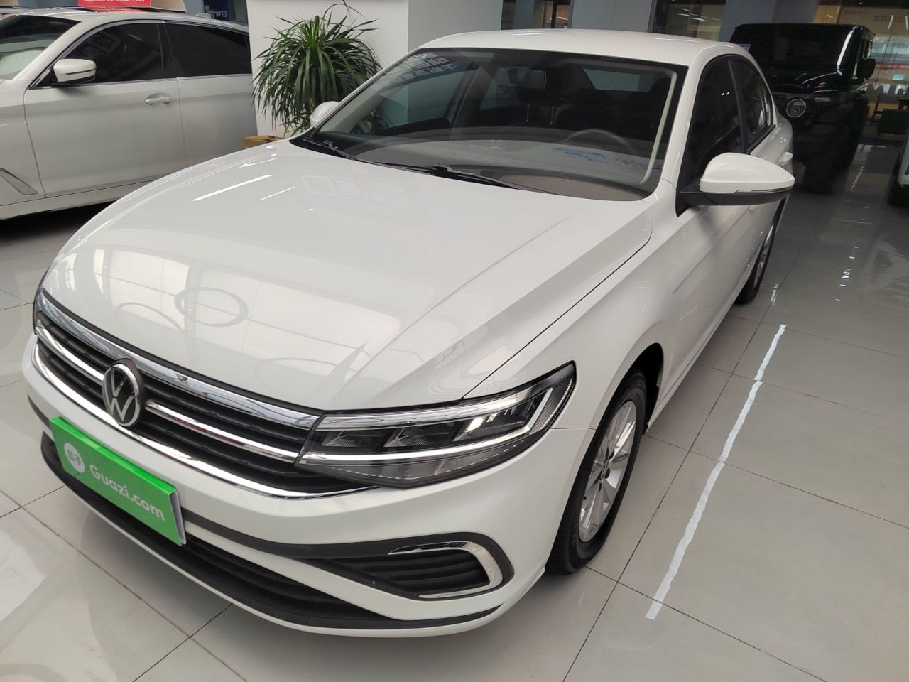 Bora 2024 200TSI DSG Cruise