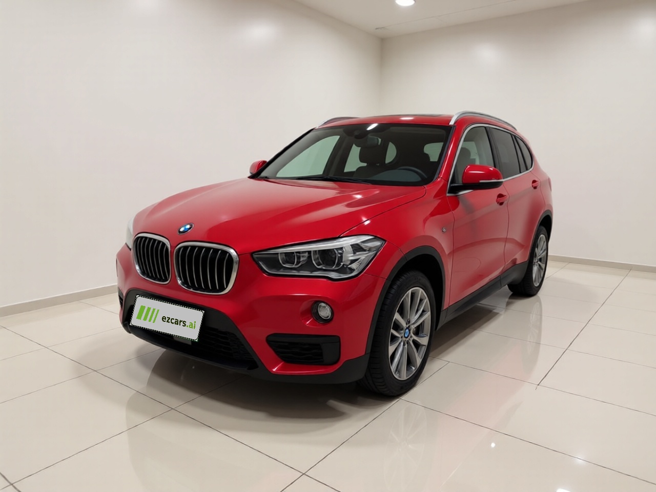 X1 2019 sDrive20Li Leading