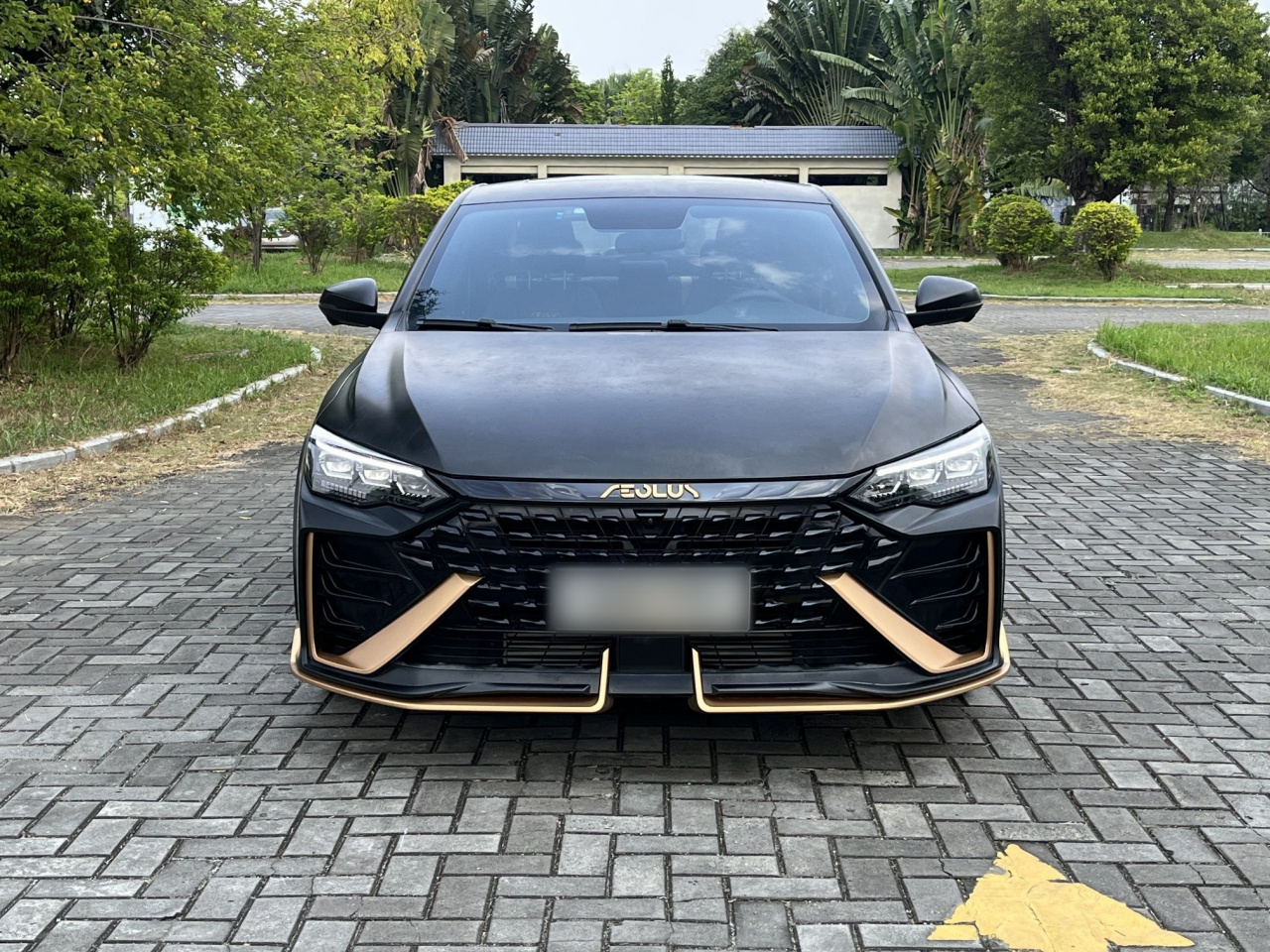 Yixuan MAX 2021 1.5T photo 2