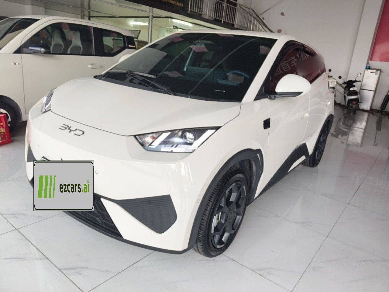 Seagull 2025 ADAS 305km
