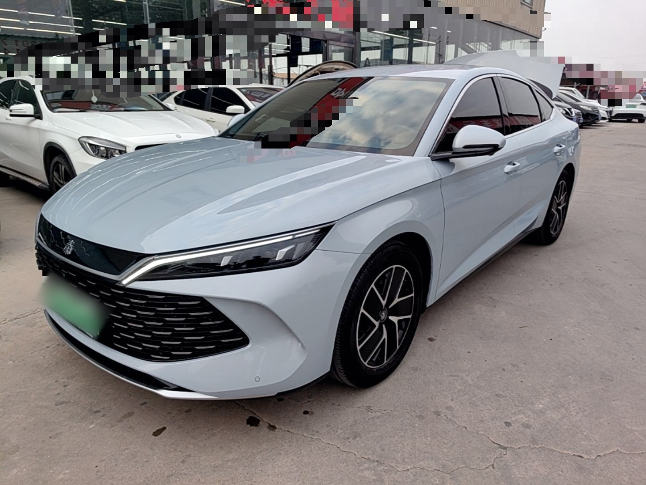 Qin L 2024 DM-i 80KM