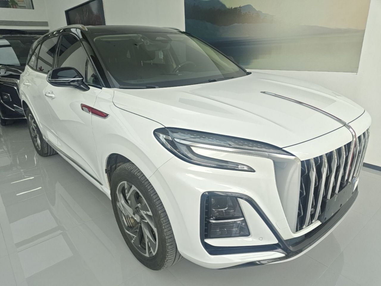 HS3 PHEV 2025 117km photo 3