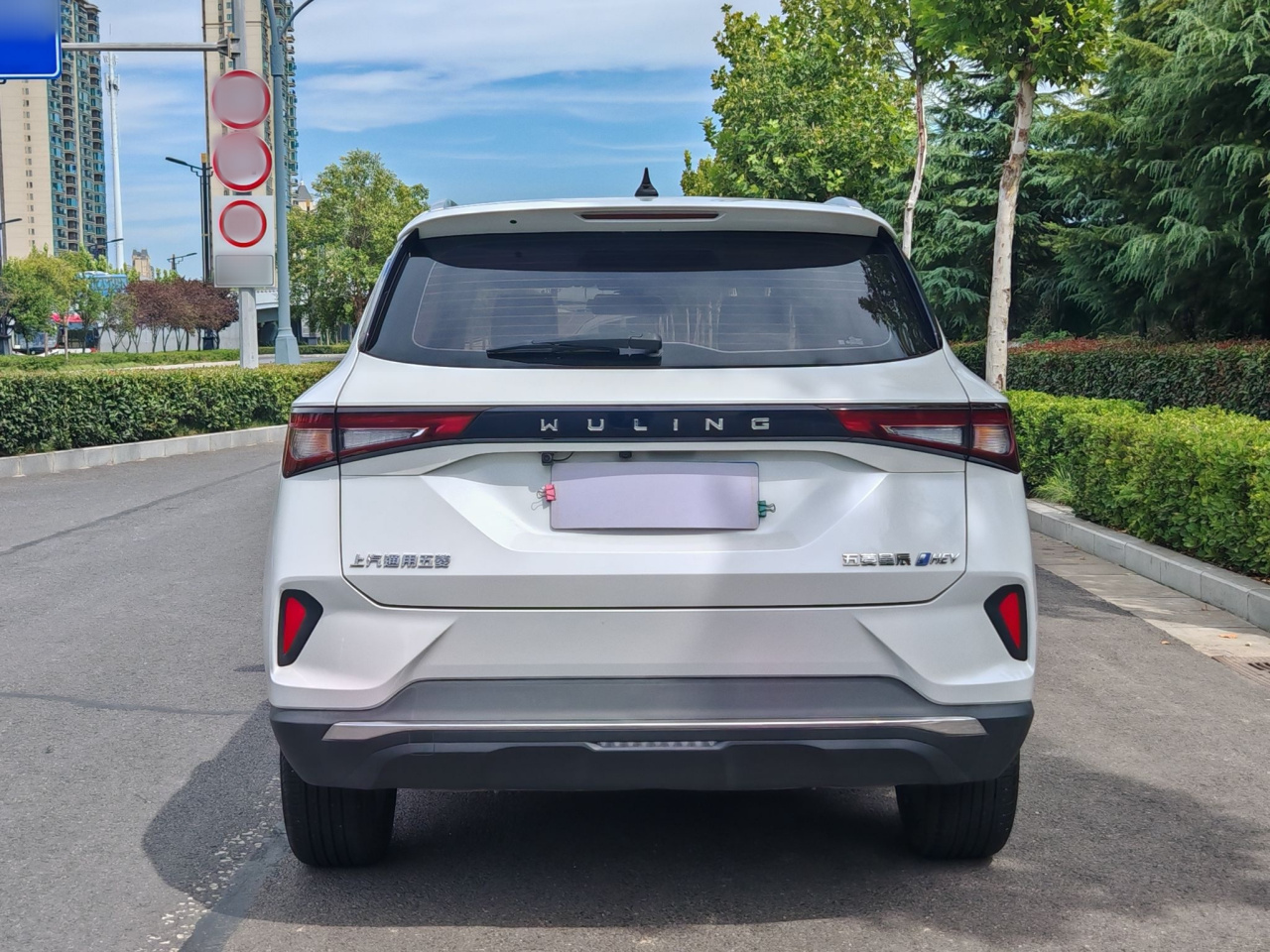 Wuling 2022 2.0L DHT photo 4