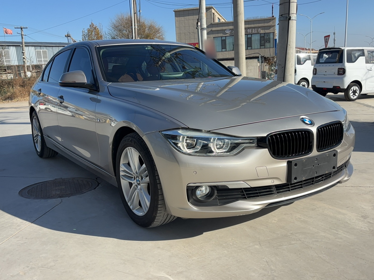 3 Series 2016 320Li Progressive photo 3