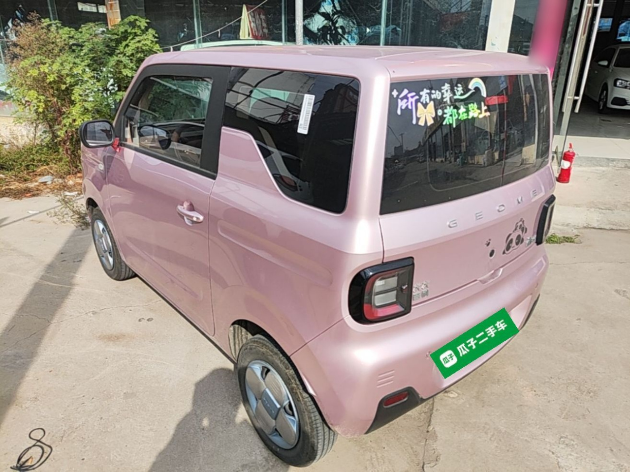 2024 Panda mini 200km Endurance Bear photo 4