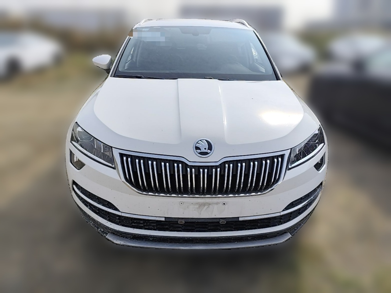 Karoq 2019 TSI280 Preferred China VI photo 2