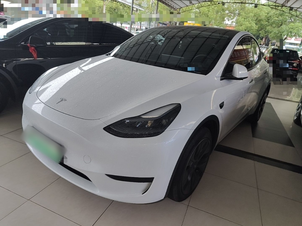 Model Y 2024 RWD
