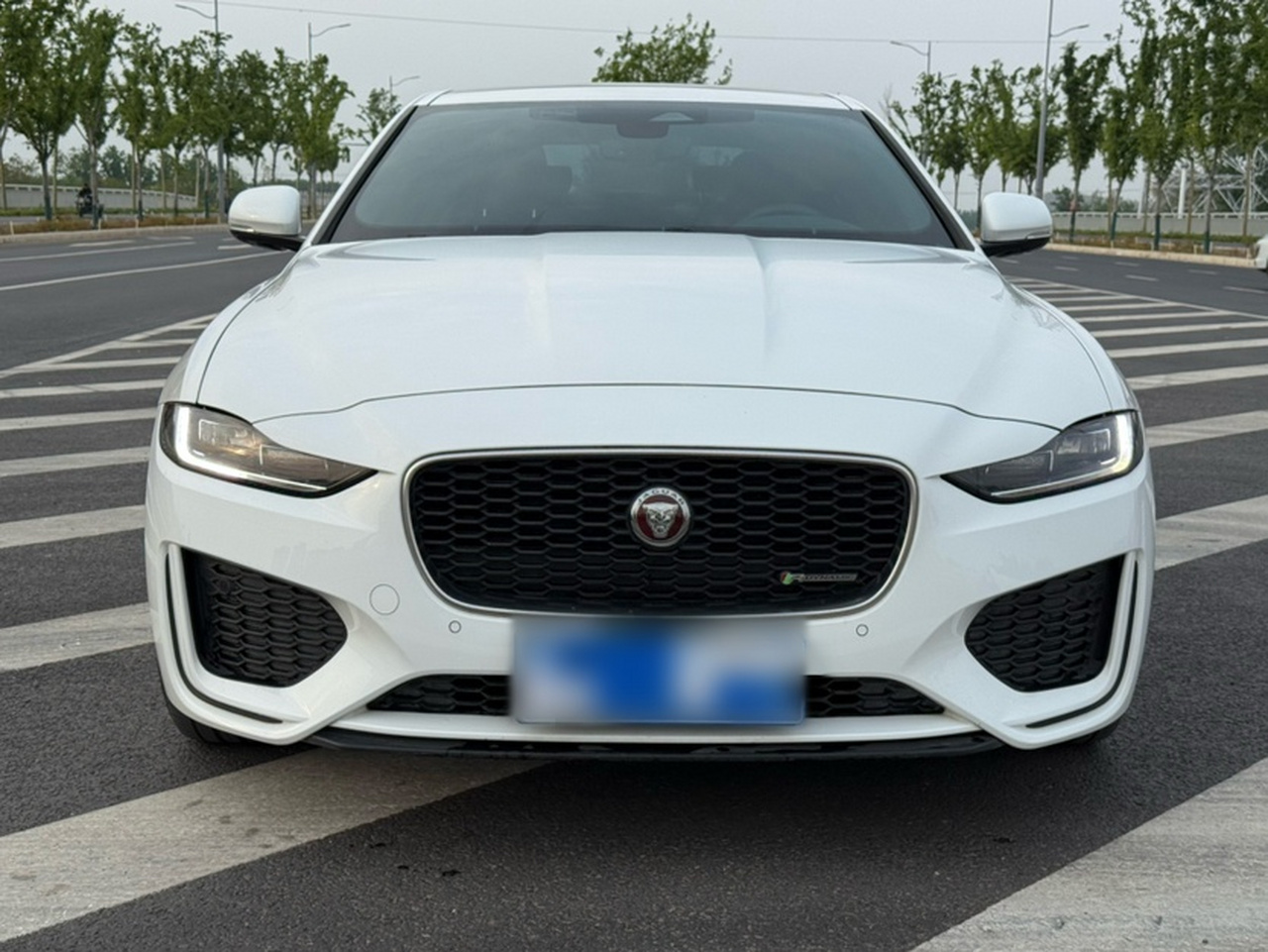 XEL 2021 2.0T 250PS R-DYNAMIC S Progressive Sport photo 3