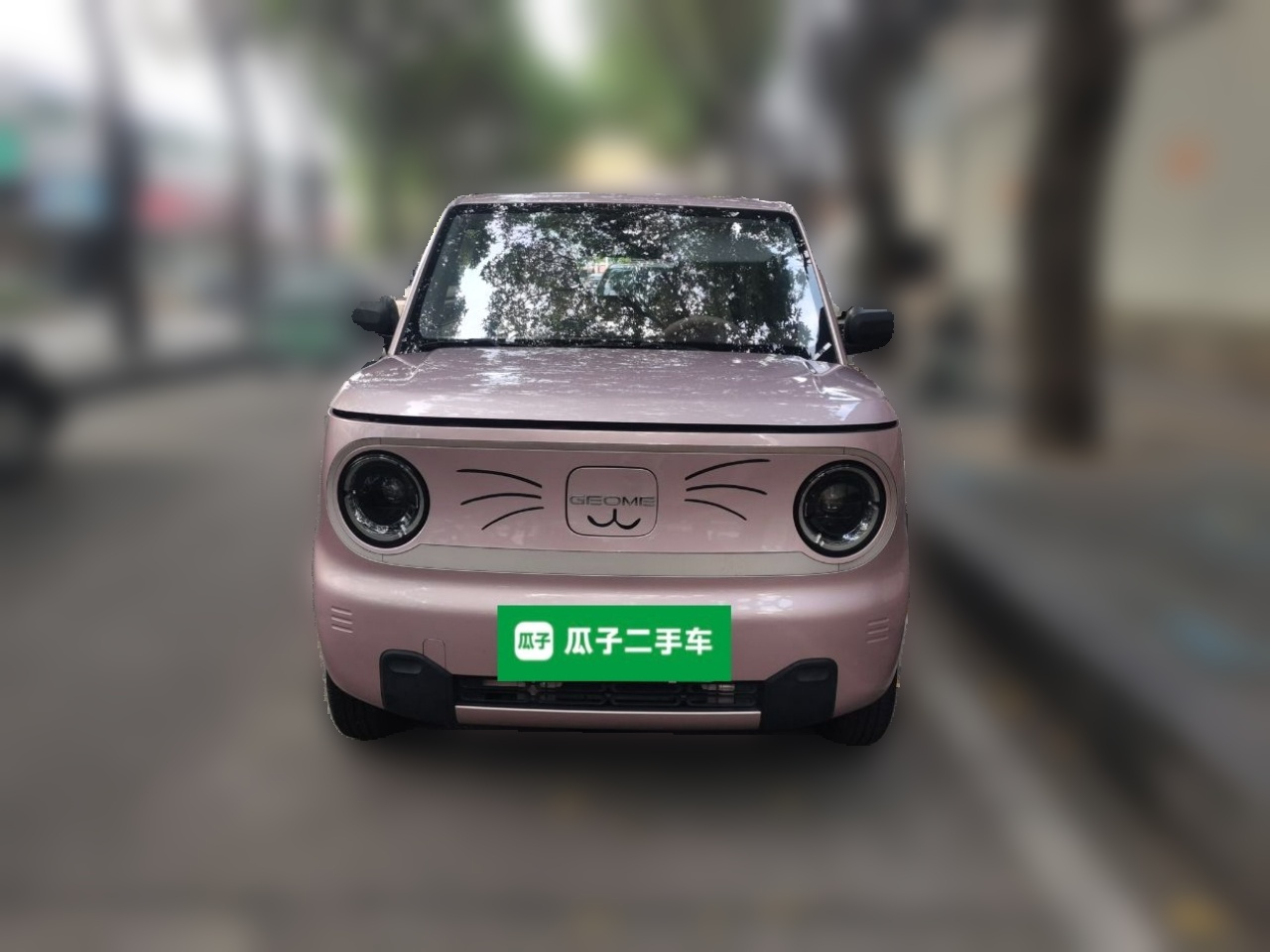 2023 Panda mini 200km Endurance Bear photo 2