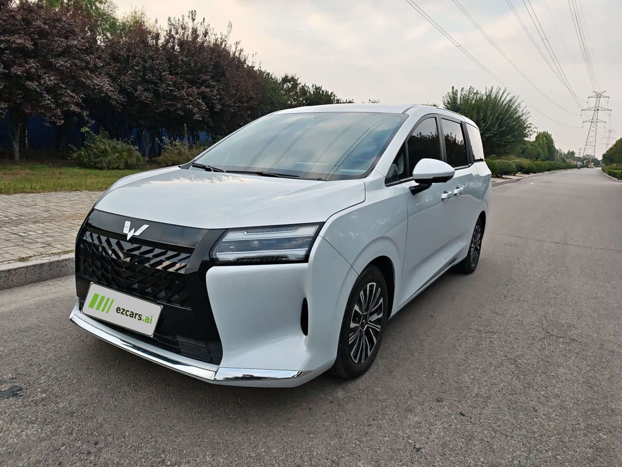 730 EV 2025 125km Luxury