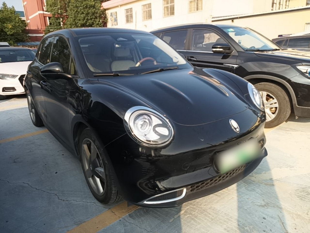 Good Cat 2022 400km Standard Range Premium LFP photo 5