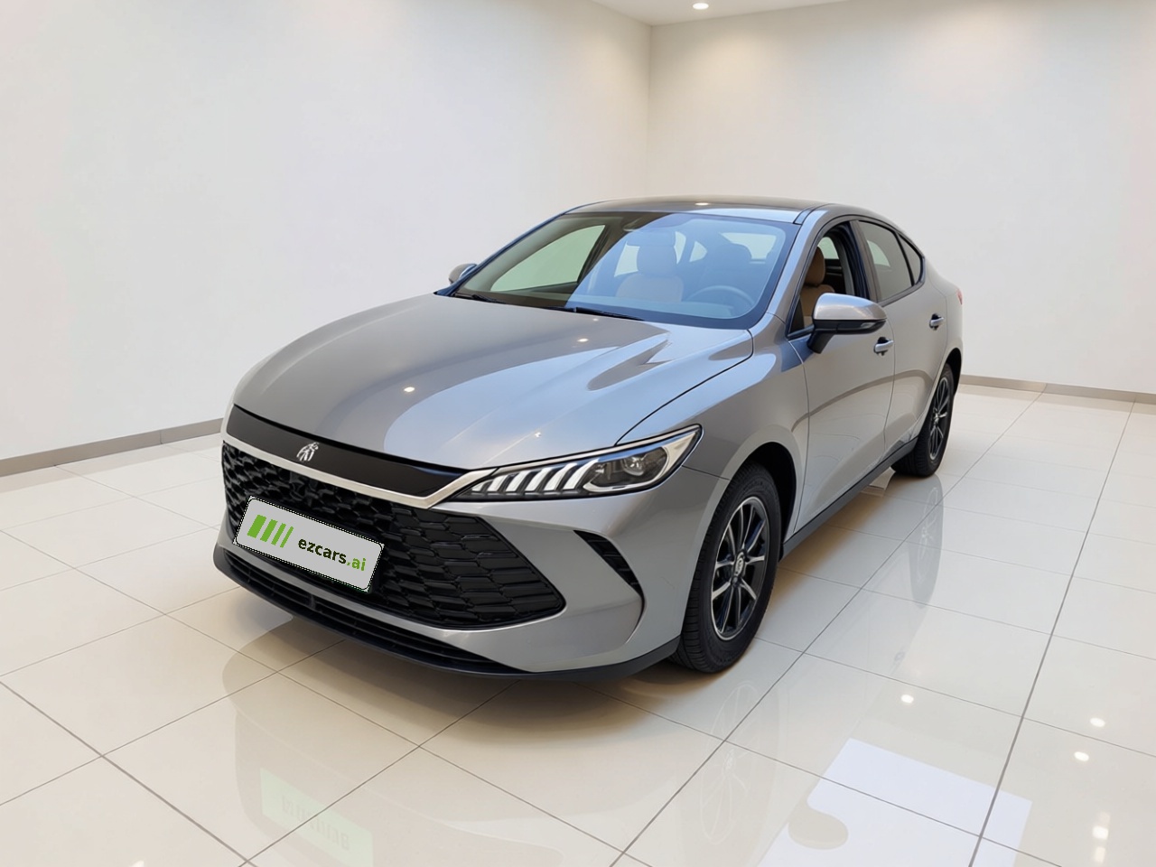 Qin PLUS 2025 DM-i ADAS 55KM Leading
