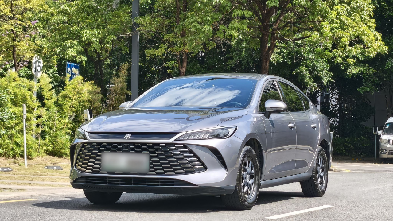 Qin PLUS 2025 DM-i ADAS 128KM Progressive