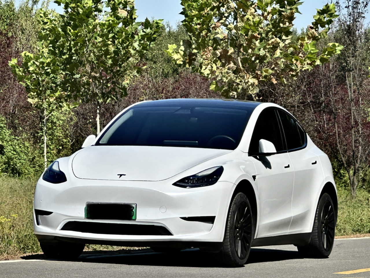 Model Y 2022 RWD