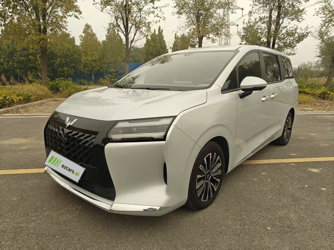 730 EV 2025 125km Luxury