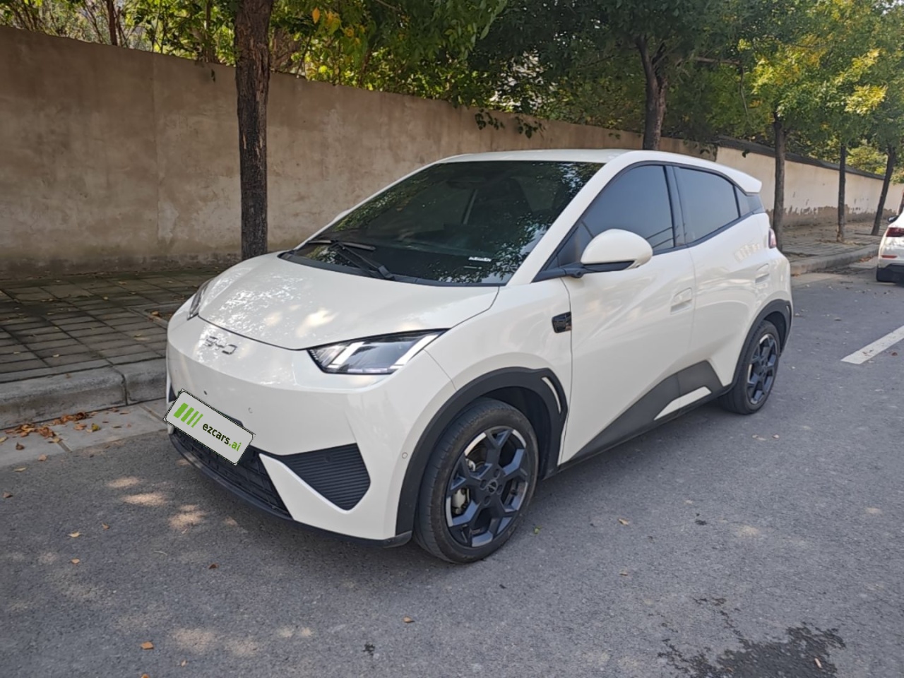 Seagull 2025 ADAS 305km