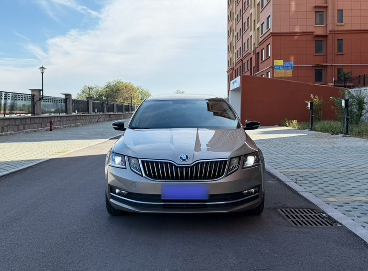 Octavia 2018 TSI280 DSG Luxury photo 2