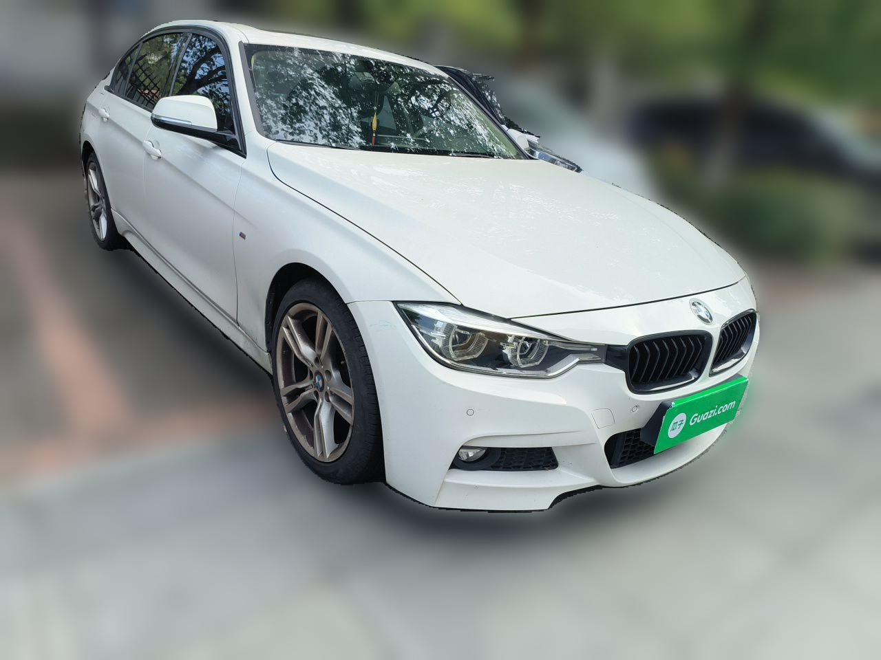 3 Series 2019 320Li M Luxury photo 3