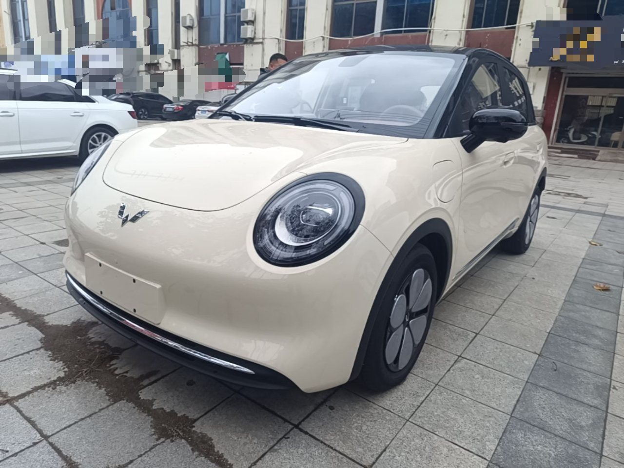 Bingo Pro 2026 330km Exclusive