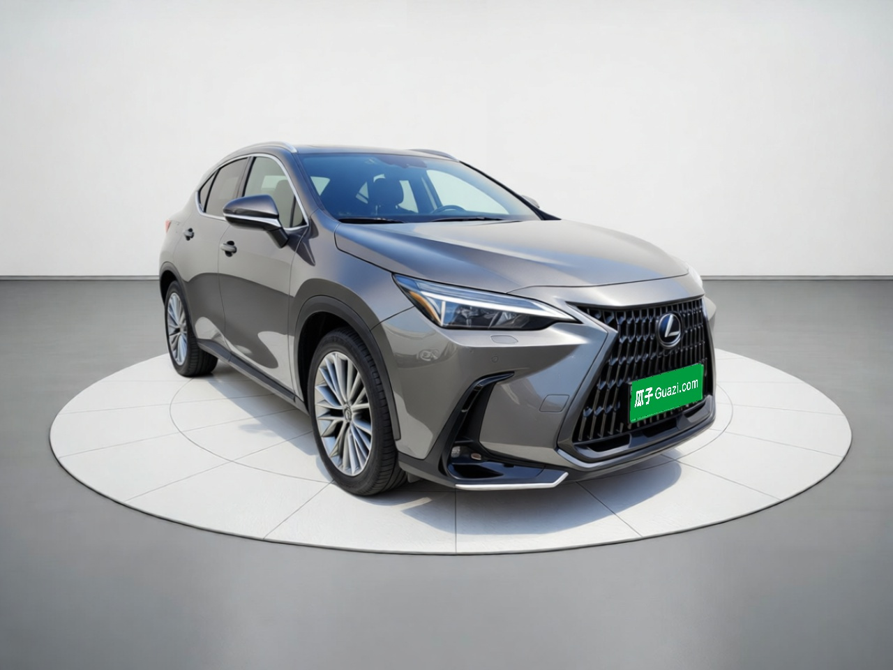 NX EV 2022 400h+ photo 3