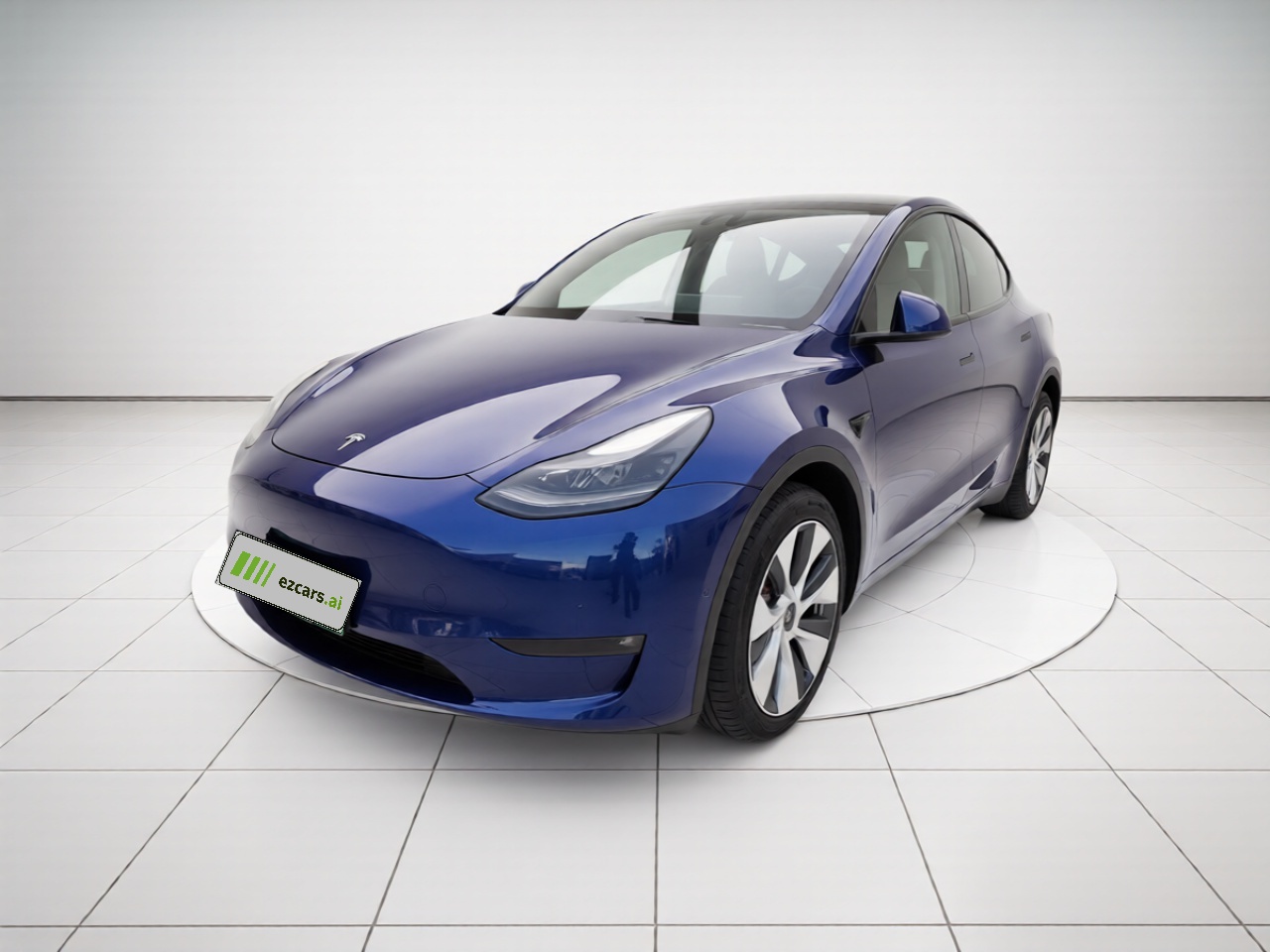 Model Y 2021 Standard Range RWD