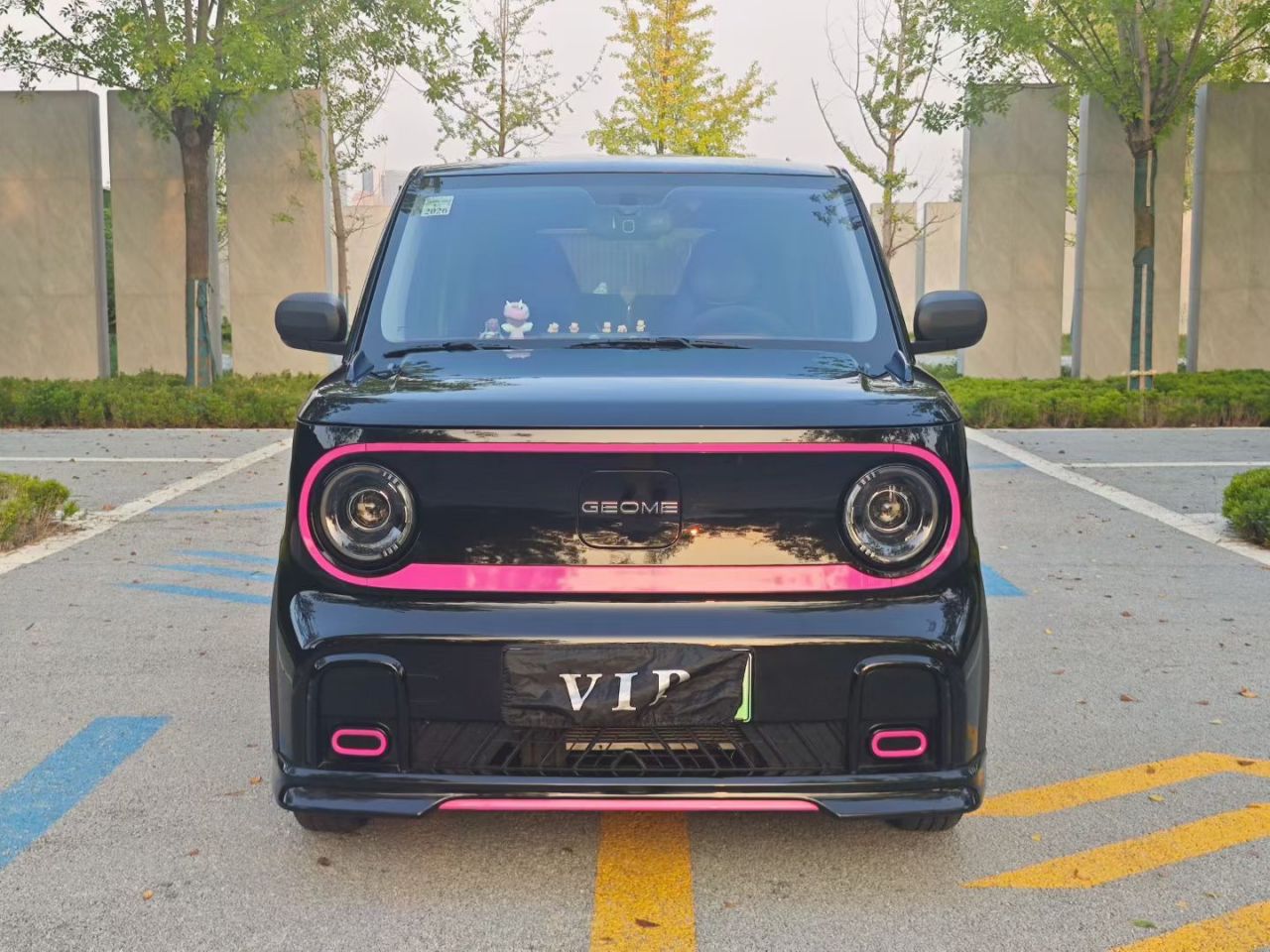2025 210km Panda photo 3