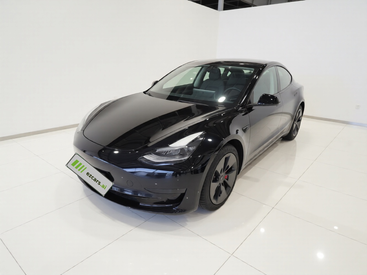 Model 3 2021 Standard Range RWD Upgraded 3D6