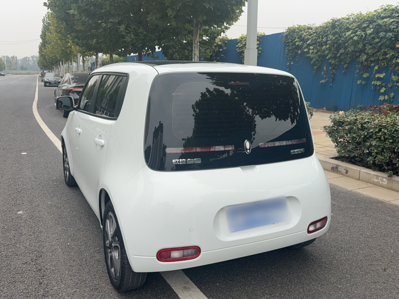 2022 Upgraded 305km Luxury NCM photo 5