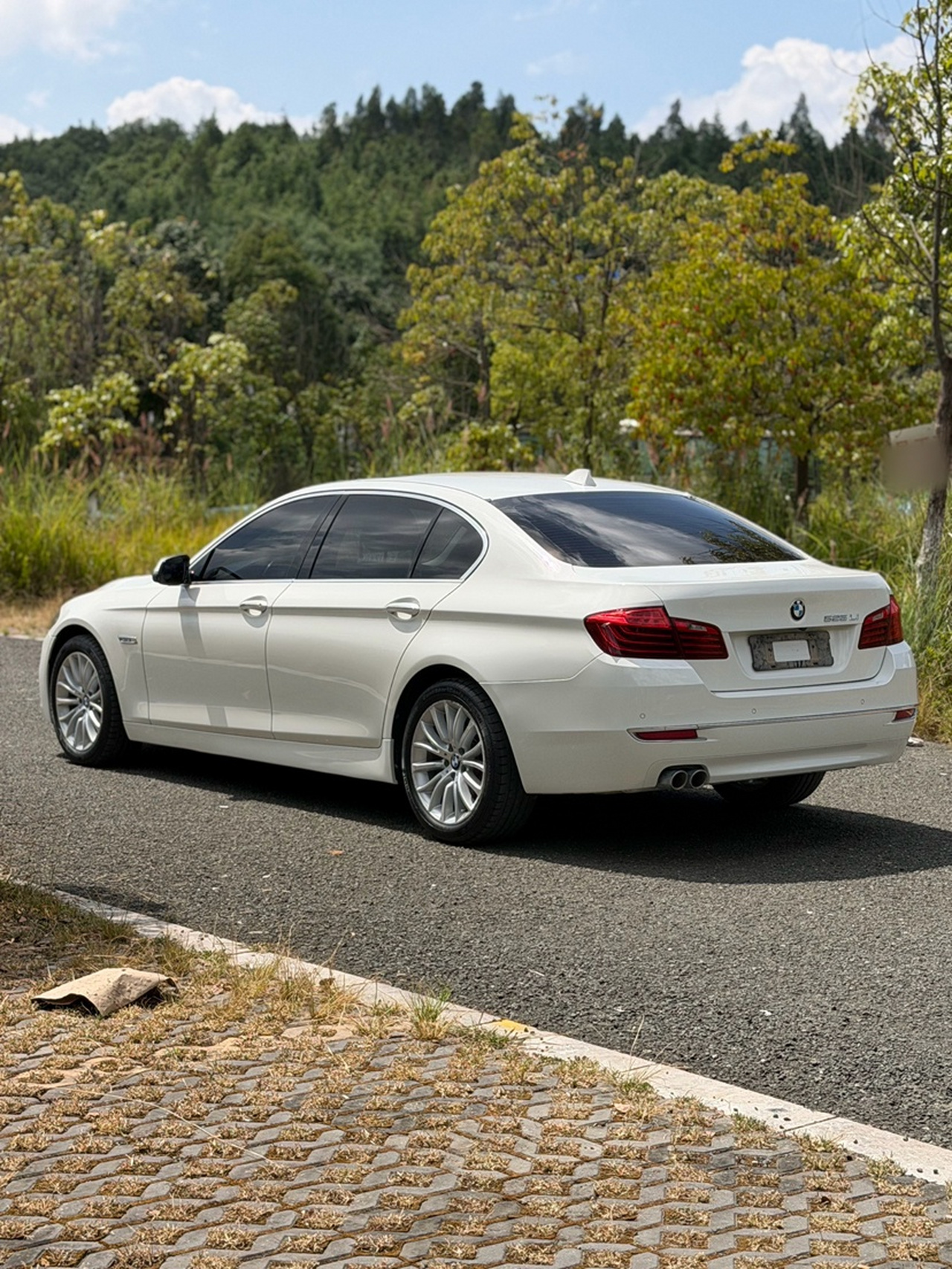 5 Series 2014 525Li Luxury Design Package photo 4