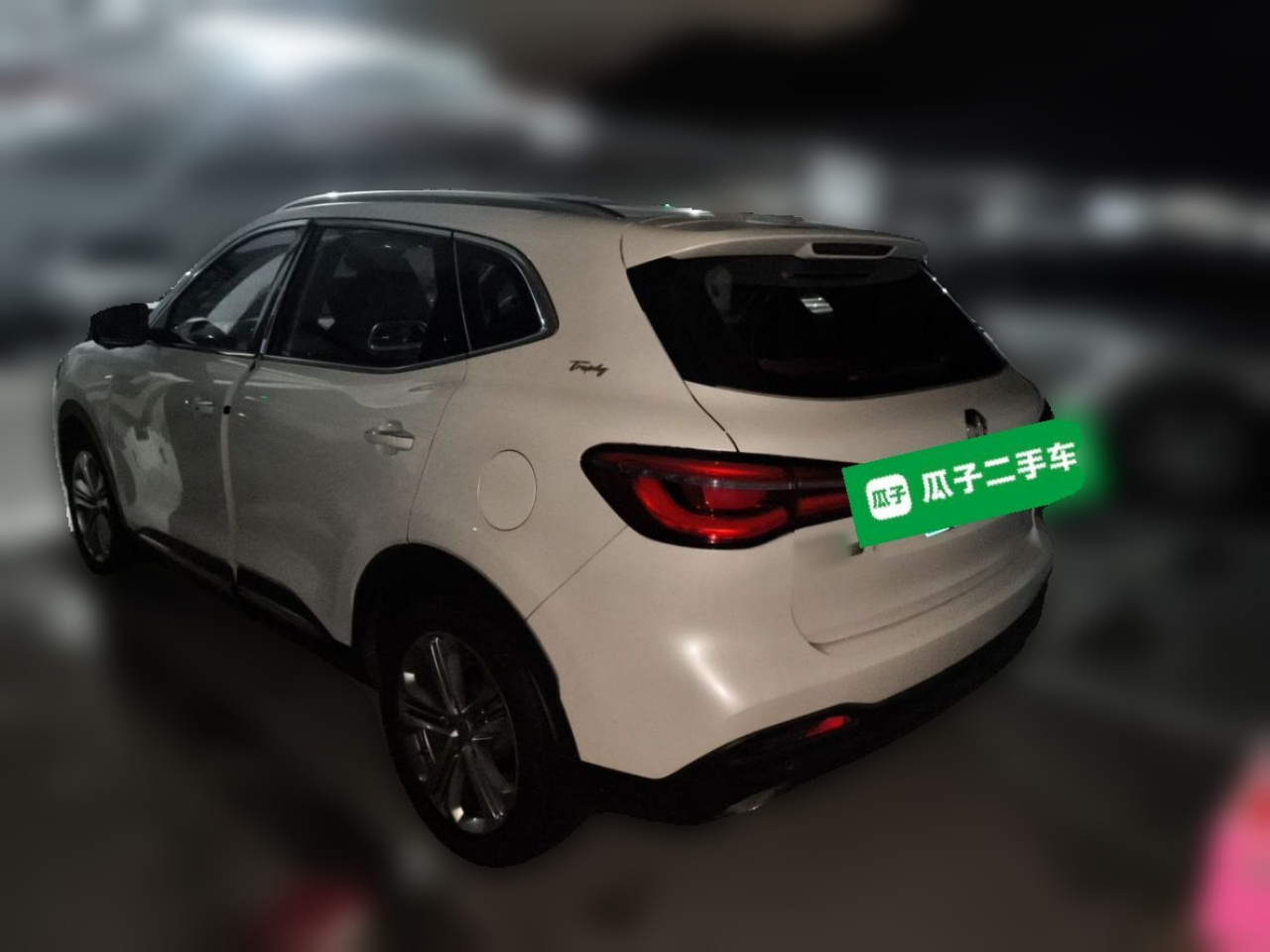 HS 2018 30T AT RWD Trophy China V photo 5