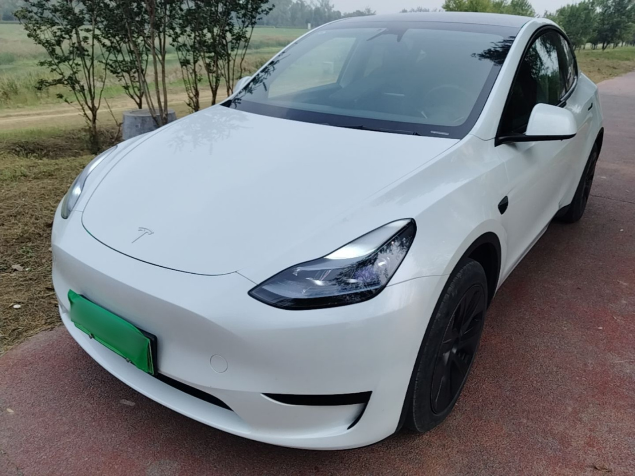 Model Y 2024 RWD