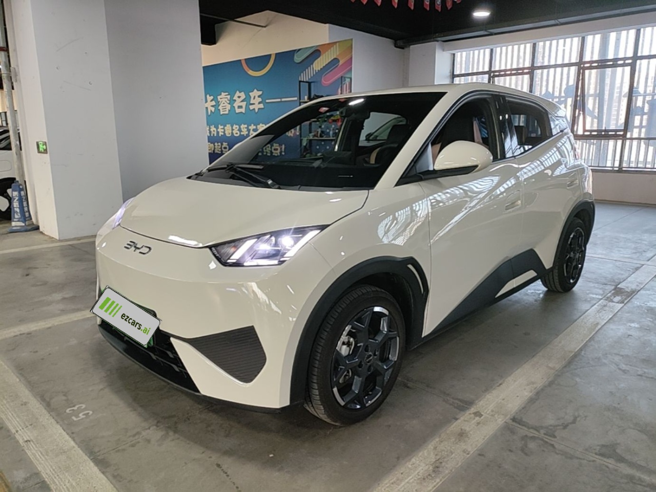 Seagull 2025 ADAS 405km