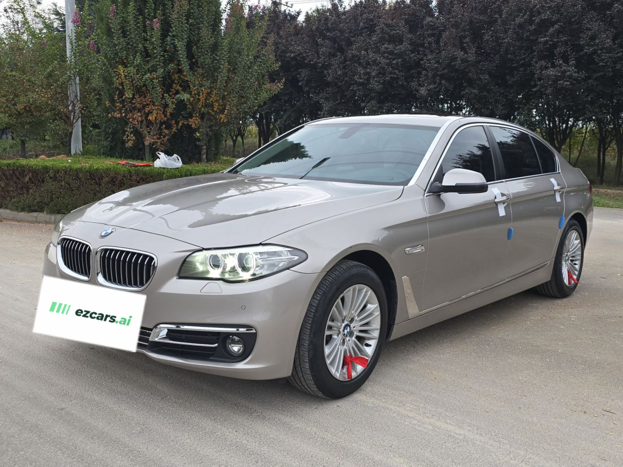 5 Series 2014 525Li Leading