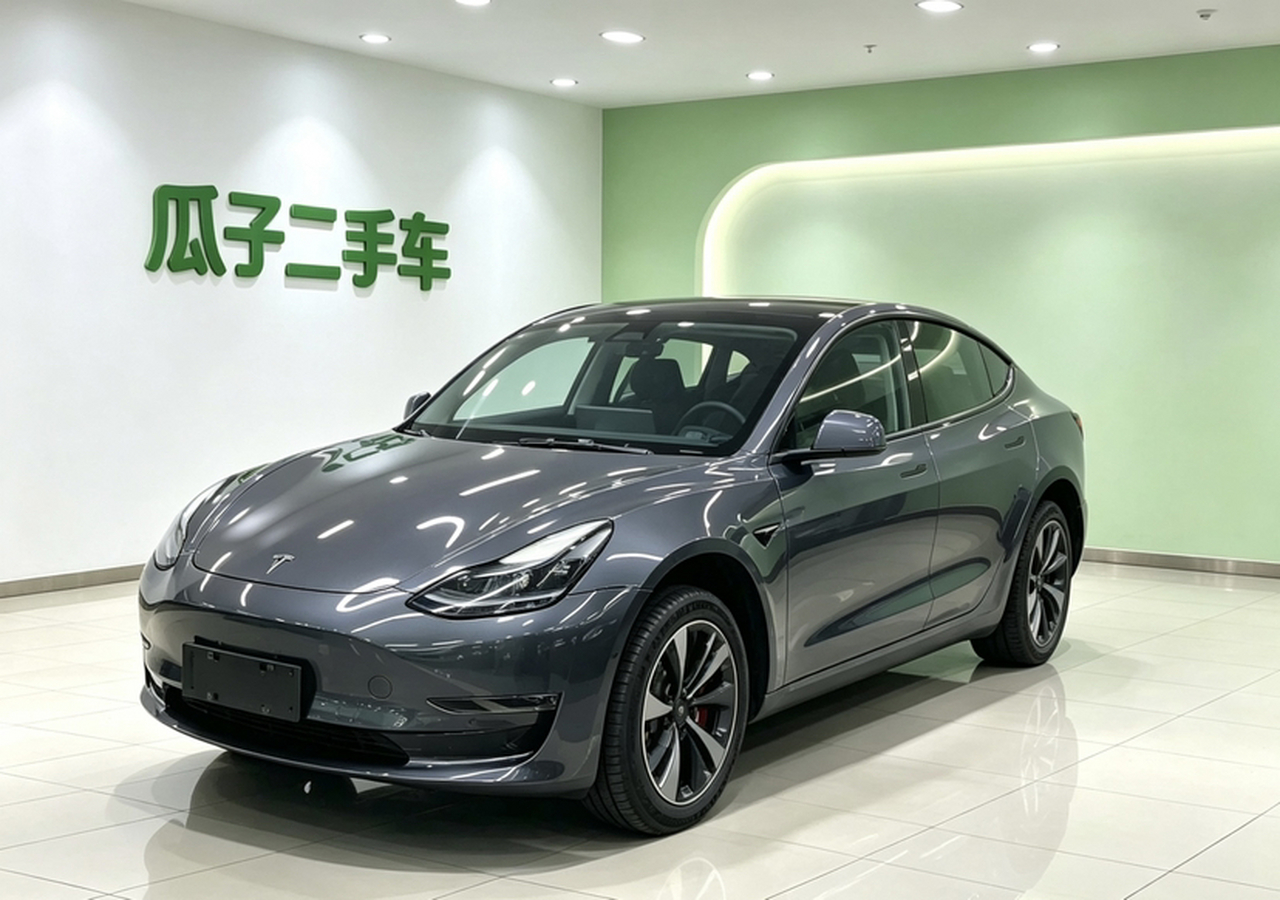Model 3 2022 Performance AWD