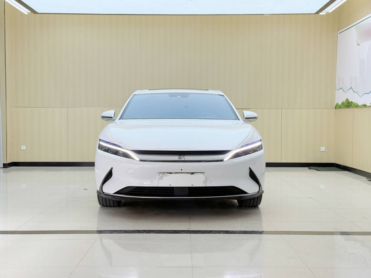 Han 2021 EV Standard Range Luxury photo 2
