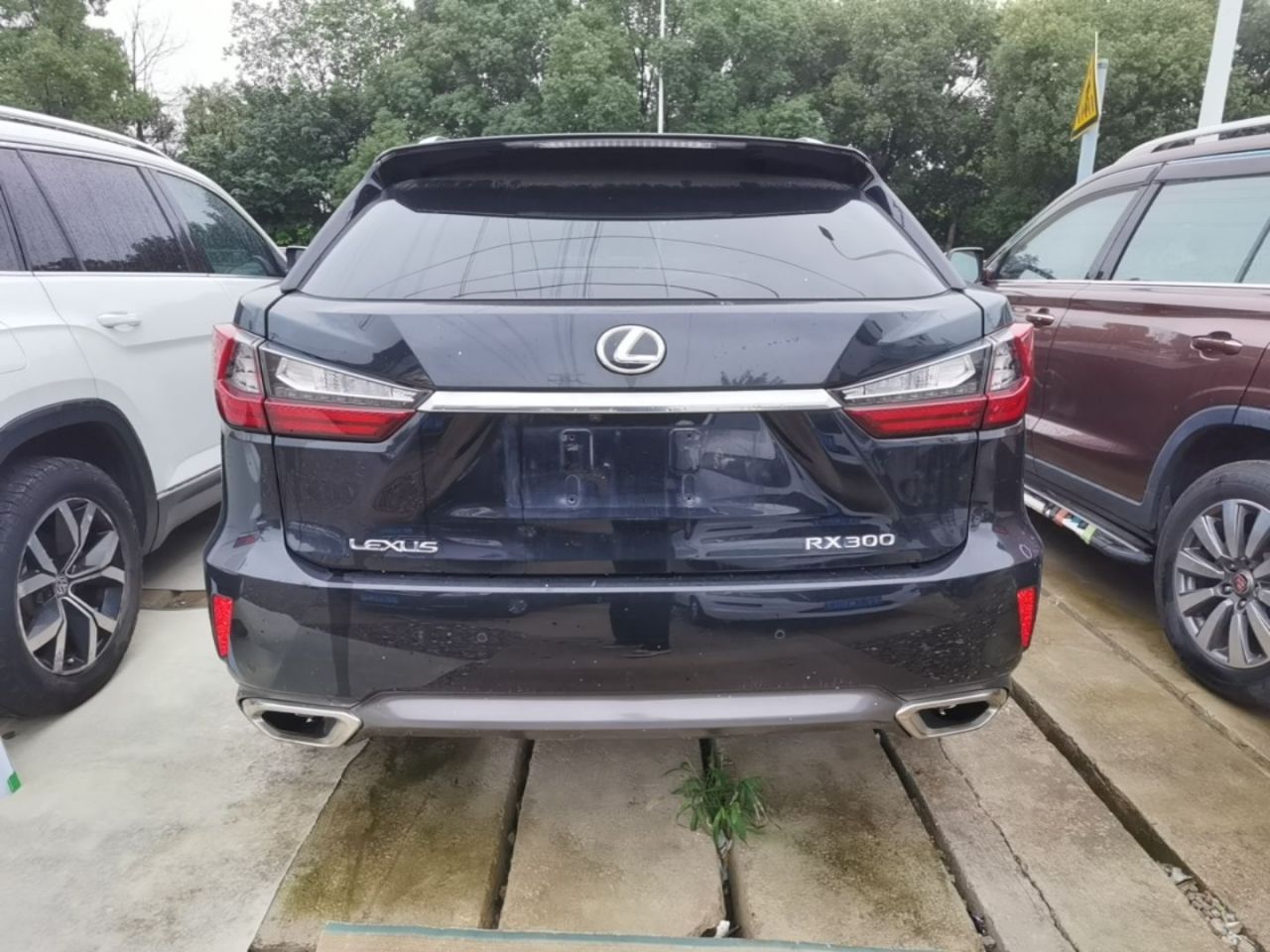 RX 2016 300 AWD Elegant China V photo 5