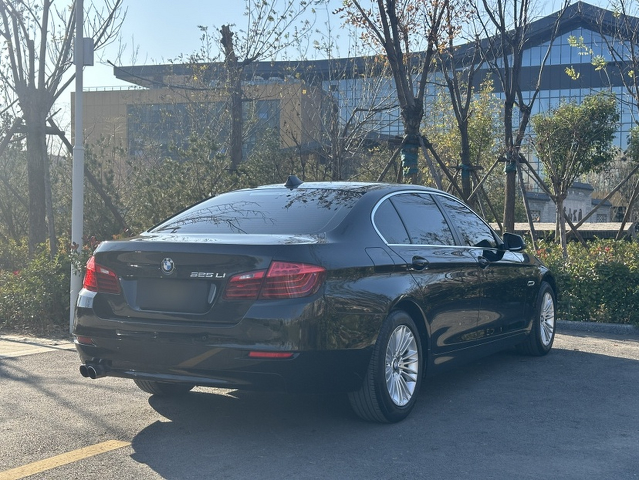 5 Series 2014 525Li Leading photo 2