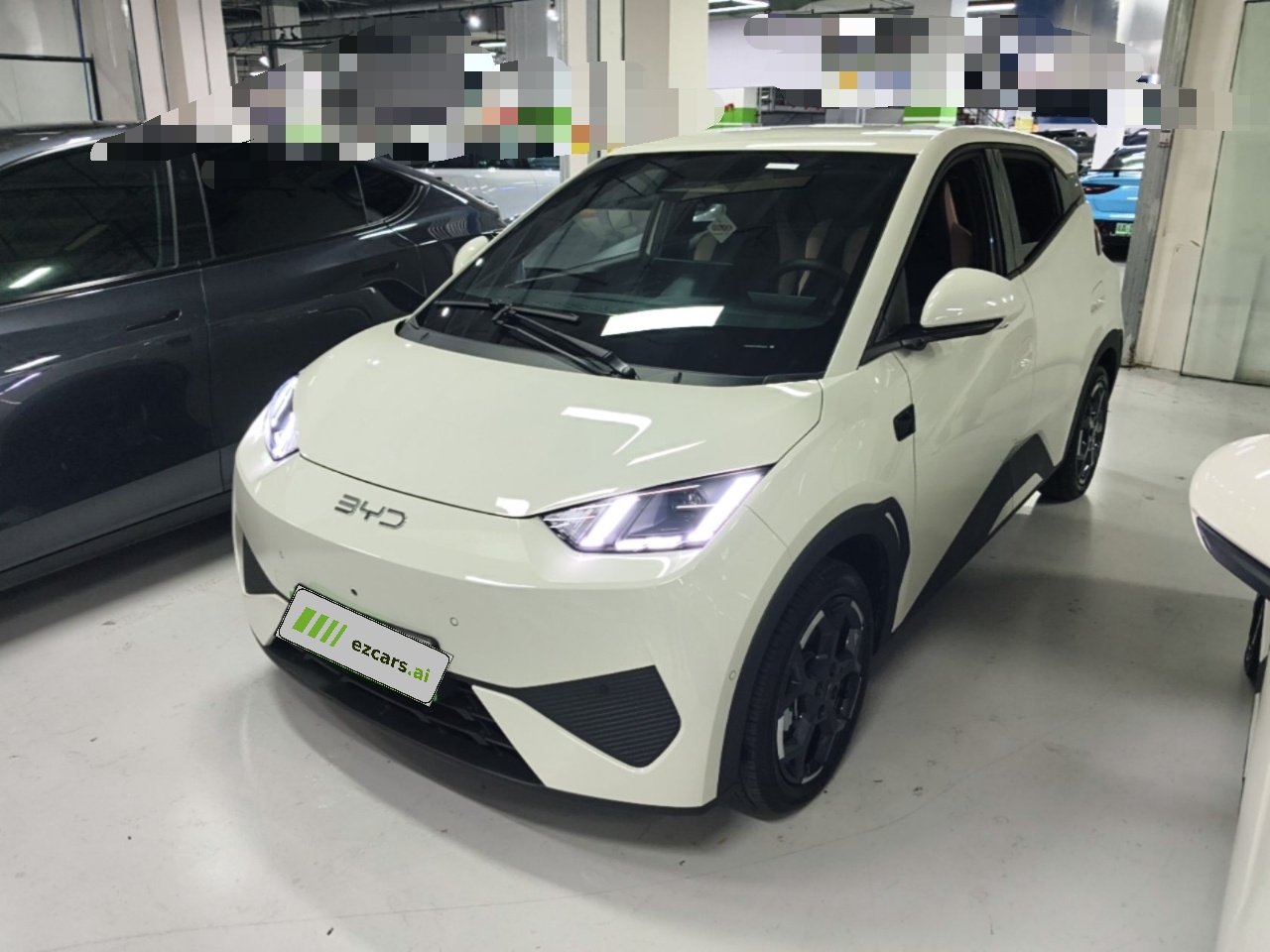 Seagull 2025 ADAS 305km